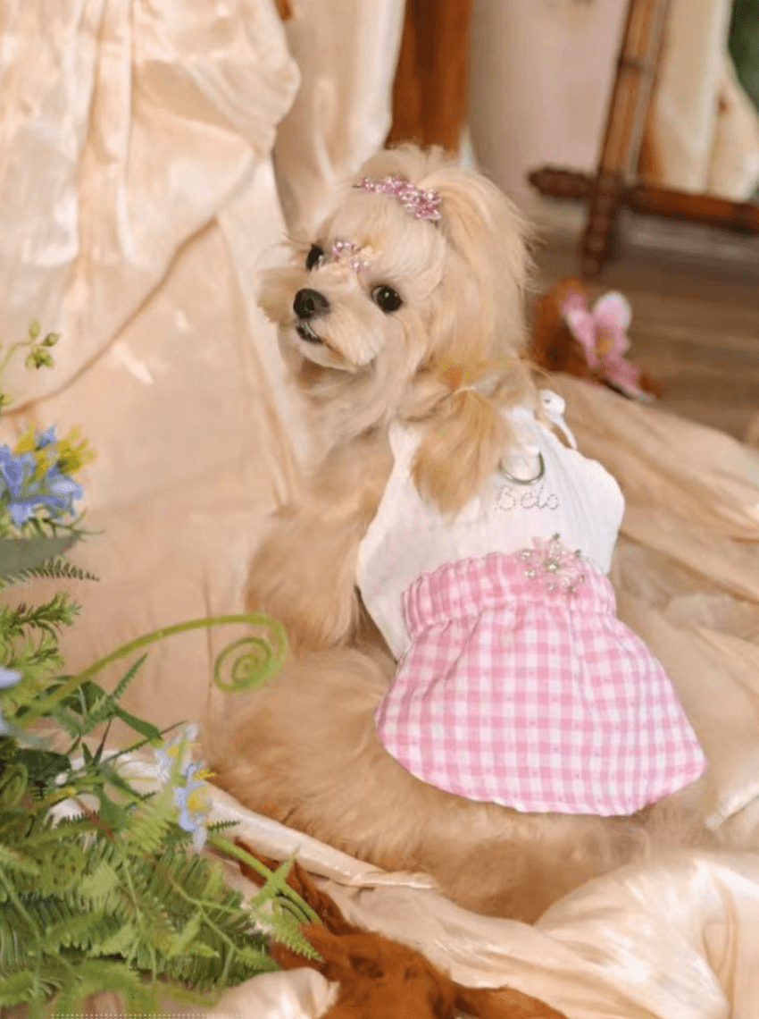 BELO Pink Plaid Rhinestone Dog Dress – Sparkly Pet Outfit for Small Dogs & Puppies