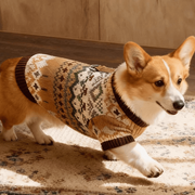 Retro Winter Coat – Vintage Warm Pet Jacket