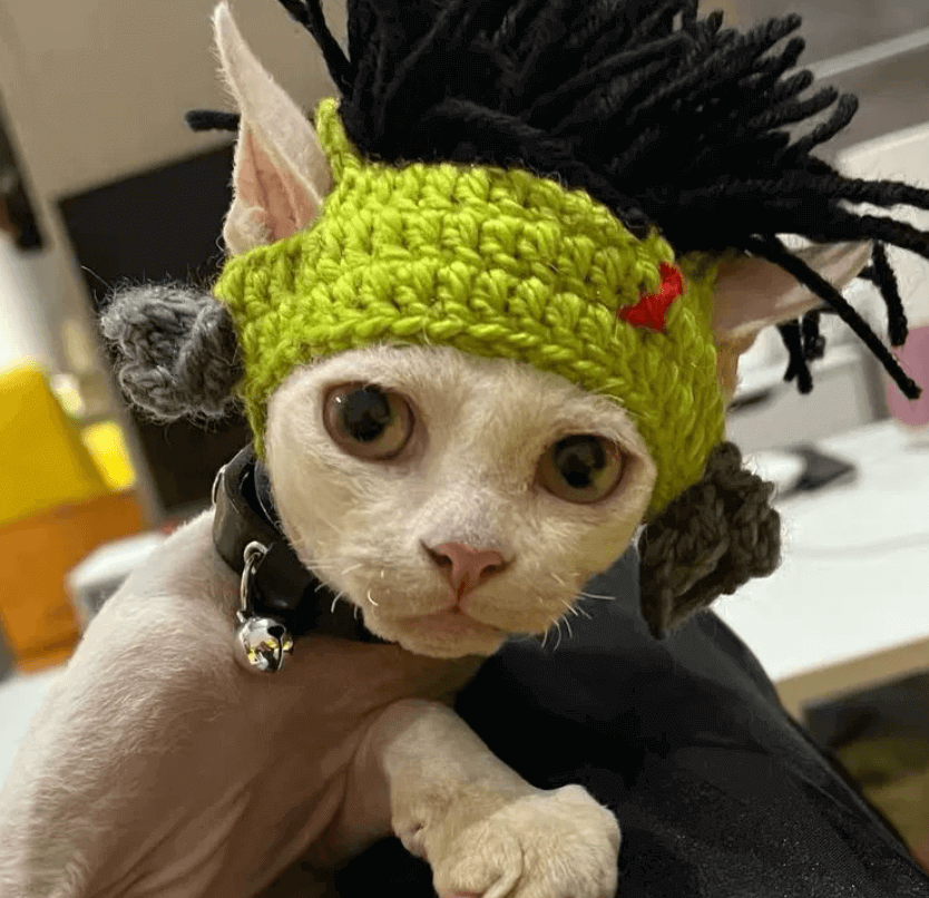 Funny Punk Pet Wig Hat for Cats & Dogs | Afro Cosplay Headwear | Cute Halloween Party Dress Up Costume
