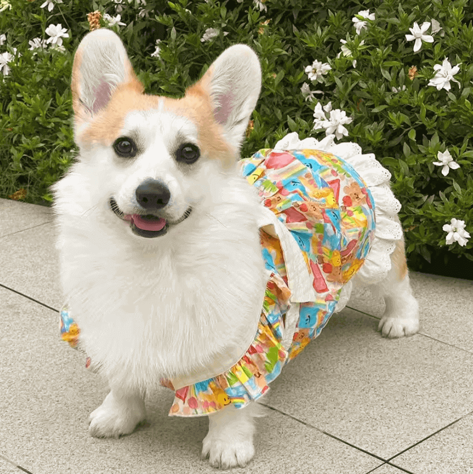 Princess Bow Dress for Dogs – Floral Lace Summer Pet Outfit
