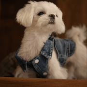 Classic Denim Dog Jacket – Stylish Blue Jean Coat for Pets