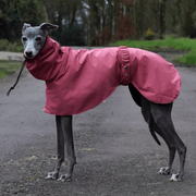 Dog Raincoat Waterproof Sighthound Pony Whippet Cape Blue Size XS-XXL