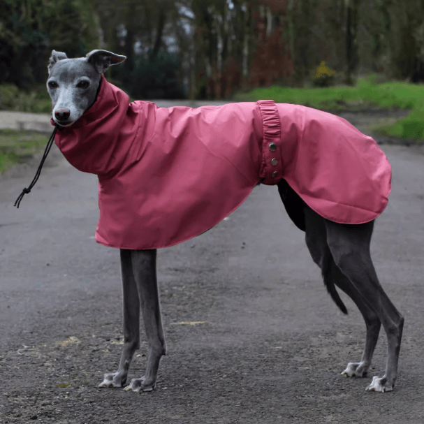 Dog Raincoat Waterproof Sighthound Pony Whippet Cape Blue Size XS-XXL