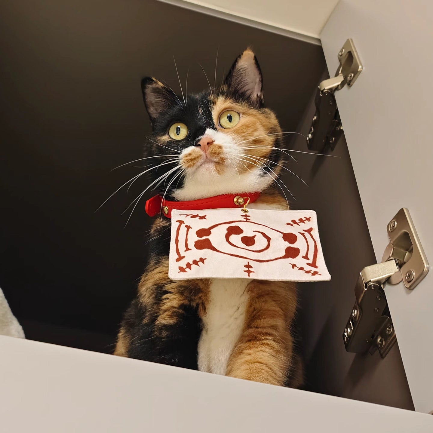 Demon Slayer Chachamaru Cosplay Collar Inspired Cat Necklace - PIKAPIKA