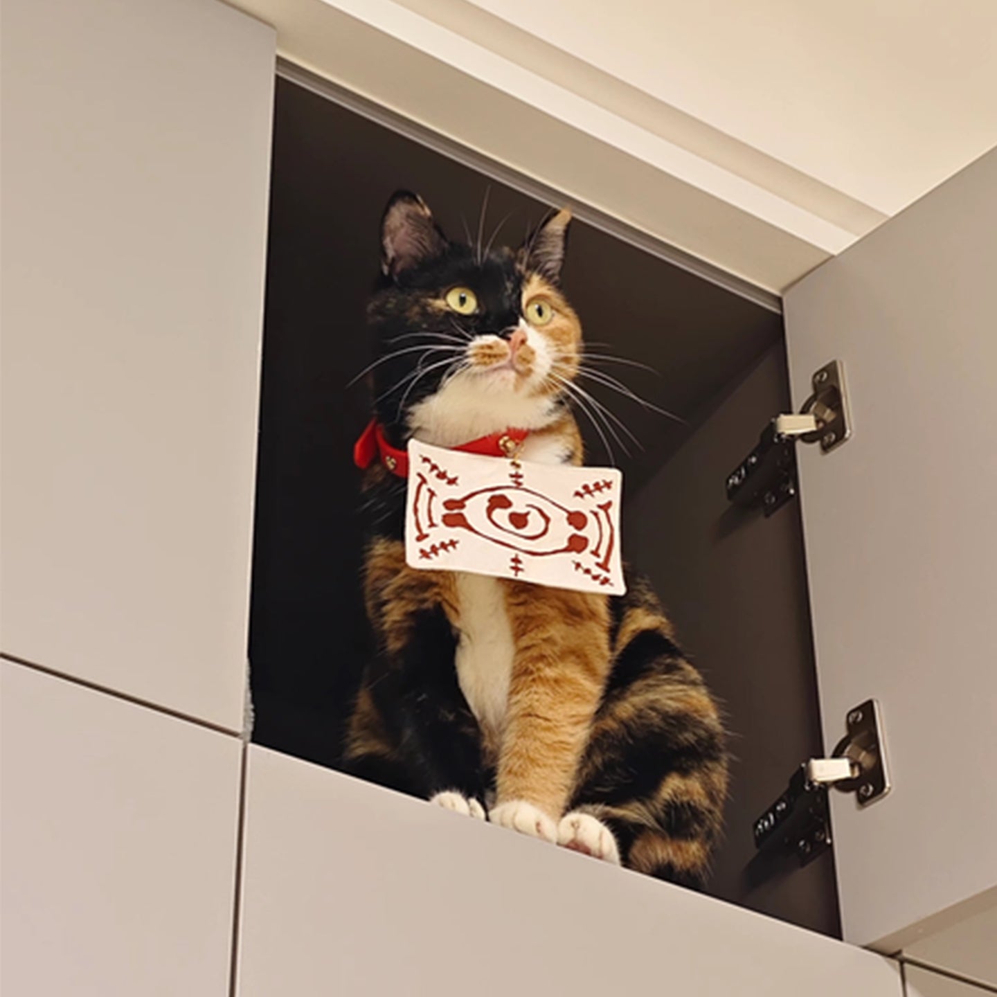 Demon Slayer Chachamaru Cosplay Collar Inspired Cat Necklace - PIKAPIKA