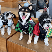 Demon Slayer Tanjiro Pet Costumes Outfit Dog Kimono Cloak - PIKAPIKA