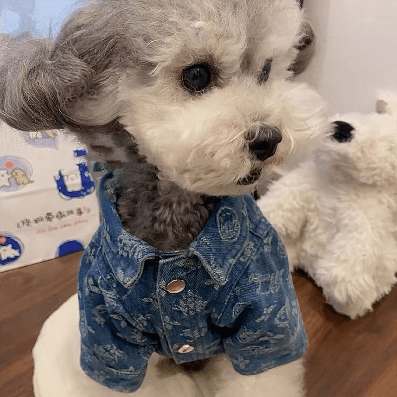 Denim Cotton Jacket Small Medium Dogs Printed Shirt - PIKAPIKA