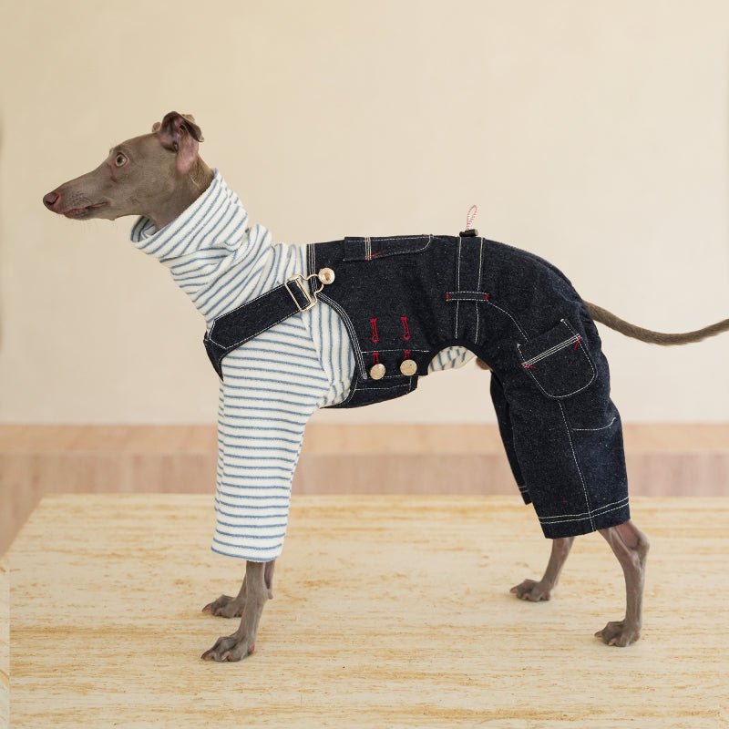 Denim Pants Onesies Sighthounds Dog Clothes - PIKAPIKA