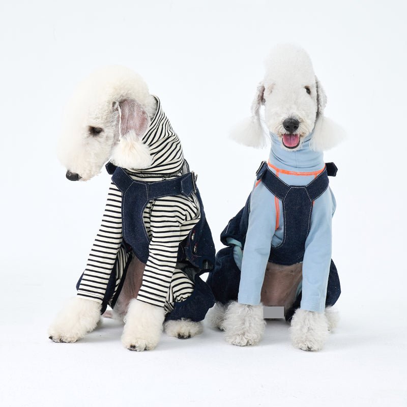 Denim Pants Onesies Sighthounds Dog Clothes - PIKAPIKA