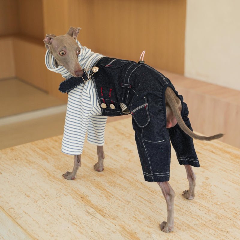 Denim Pants Onesies Sighthounds Dog Clothes - PIKAPIKA