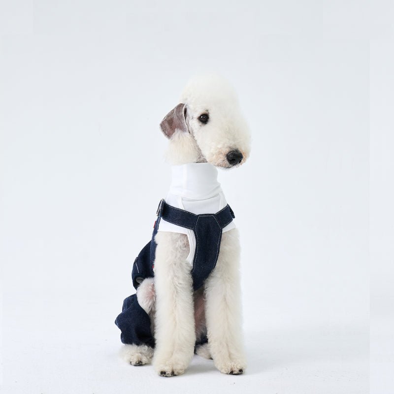 Denim Pants Onesies Sighthounds Dog Clothes - PIKAPIKA