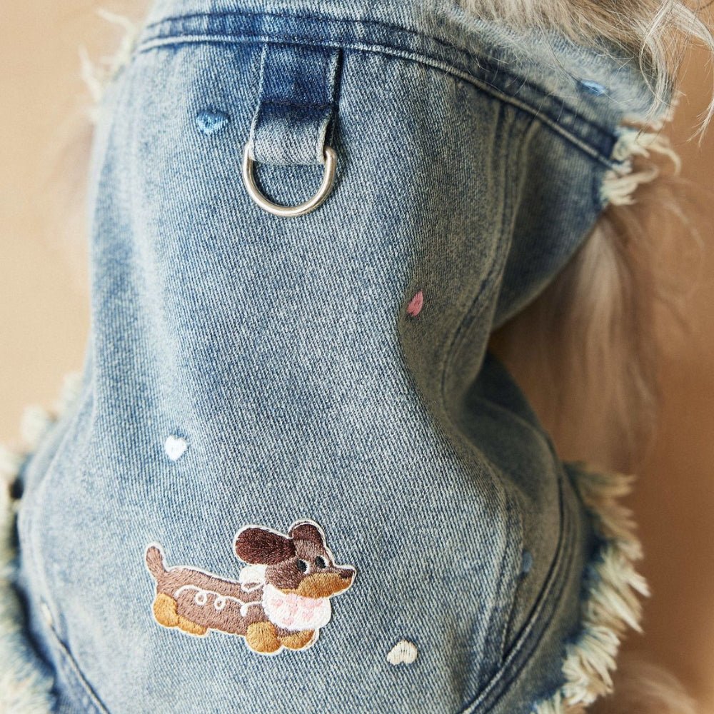 Denim Vest Jacket Dachshund Dog Clothes With D - ring - PIKAPIKA