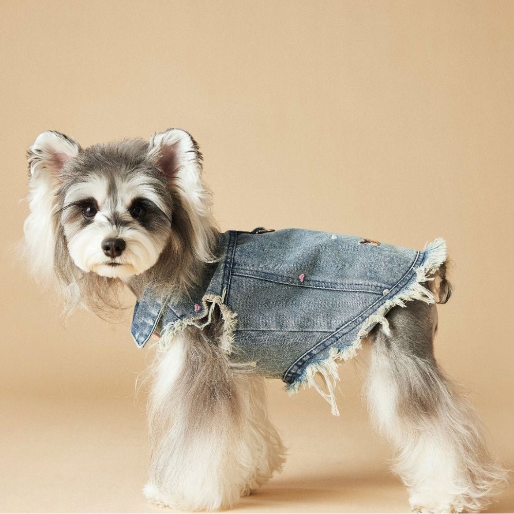 Denim Vest Jacket Dachshund Dog Clothes With D - ring - PIKAPIKA