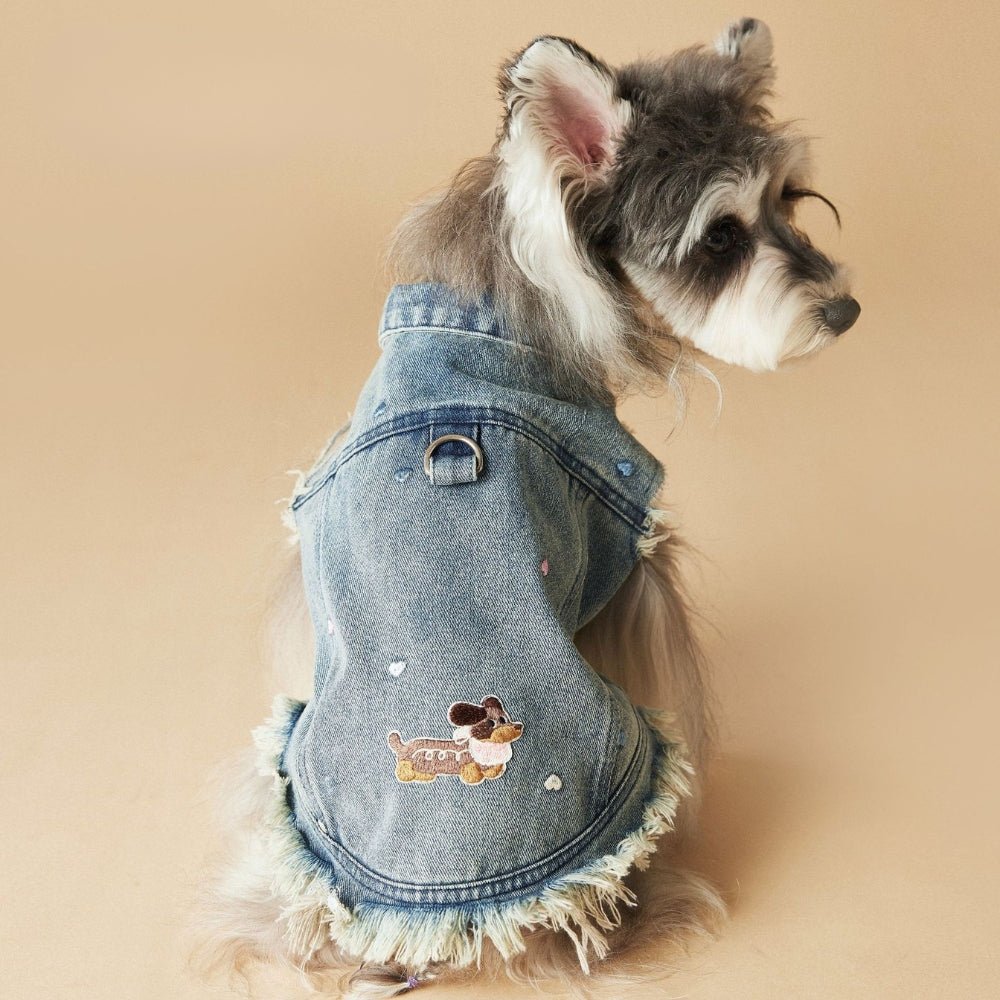 Denim Vest Jacket Dachshund Dog Clothes With D - ring - PIKAPIKA
