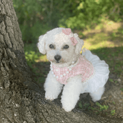 Design Style Luxury Dress Dog Clothes - PIKAPIKA