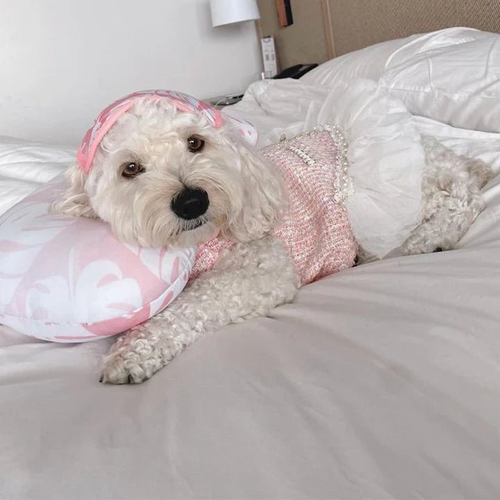 Design Style Luxury Dress Dog Clothes - PIKAPIKA