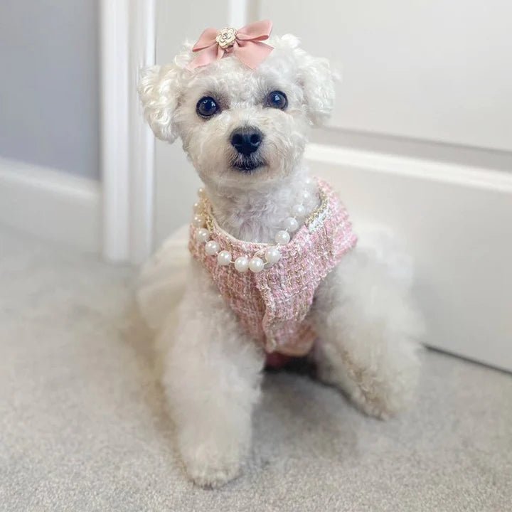 Design Style Luxury Dress Dog Clothes - PIKAPIKA
