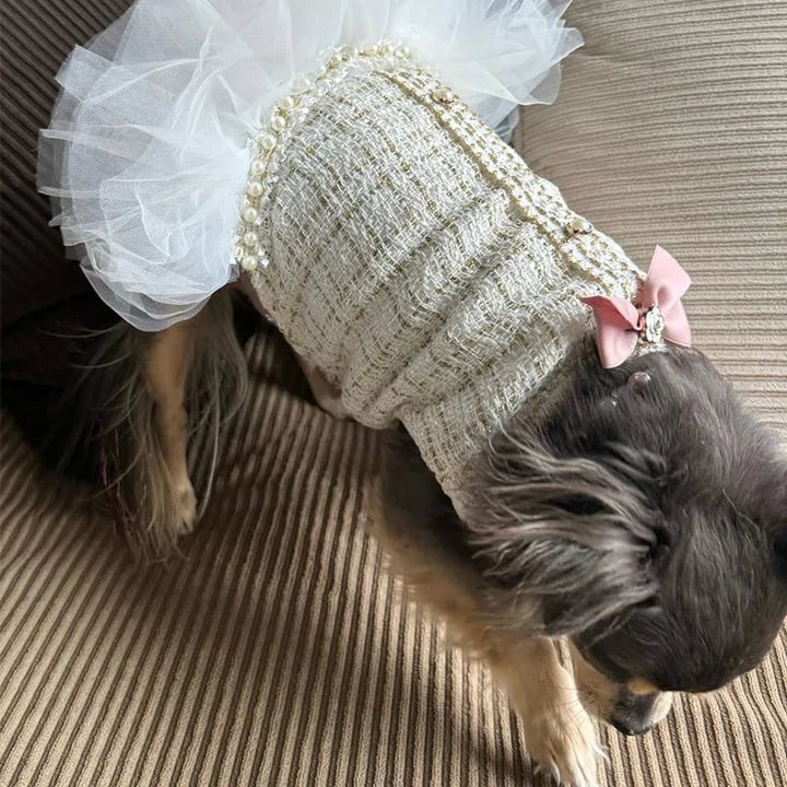 Design Style Luxury Dress Dog Clothes - PIKAPIKA