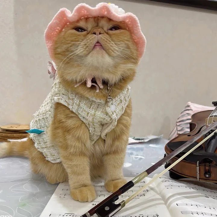 Design Style Luxury Vest Jacket Dog Clothes - PIKAPIKA