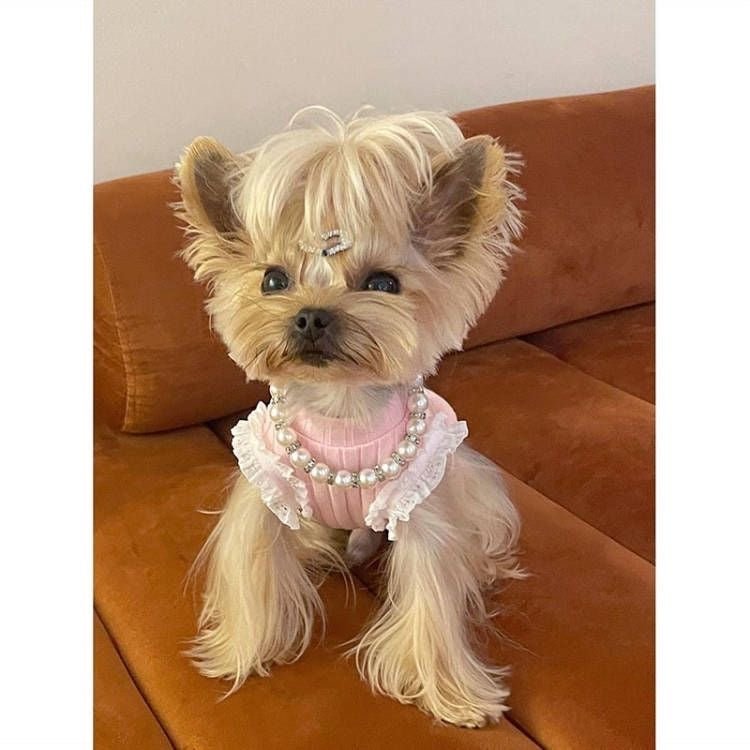 Dog & Cat Pearl Necklace - PIKAPIKA