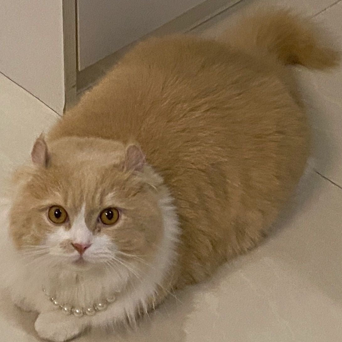 Dog & Cat Pearl Necklace - PIKAPIKA