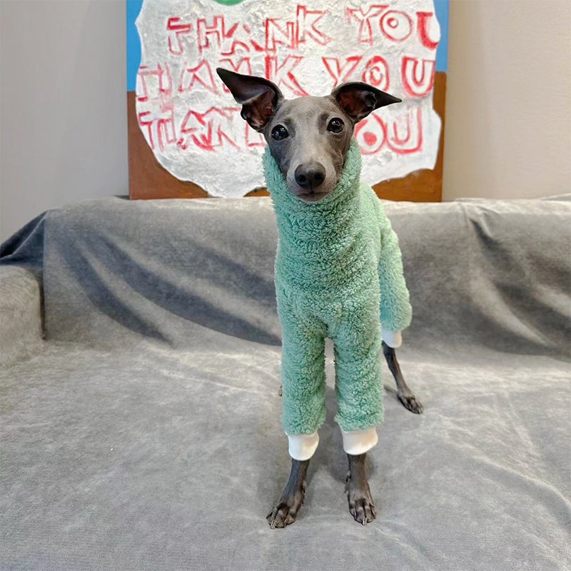Dog Clothes Double Fleece Onesie Italian Greyhound Whippet - PIKAPIKA