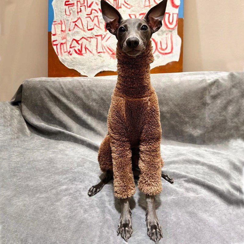 Dog Clothes Double Fleece Onesie Italian Greyhound Whippet - PIKAPIKA