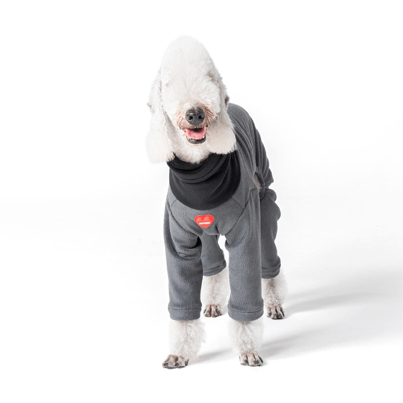 Dog Clothes Fleece Onesie Bedlington - PIKAPIKA