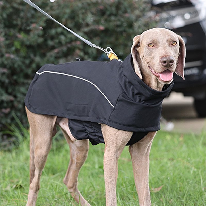 Dog Clothes Outdoor Raincoat Waterproof Windproof Jacket - PIKAPIKA