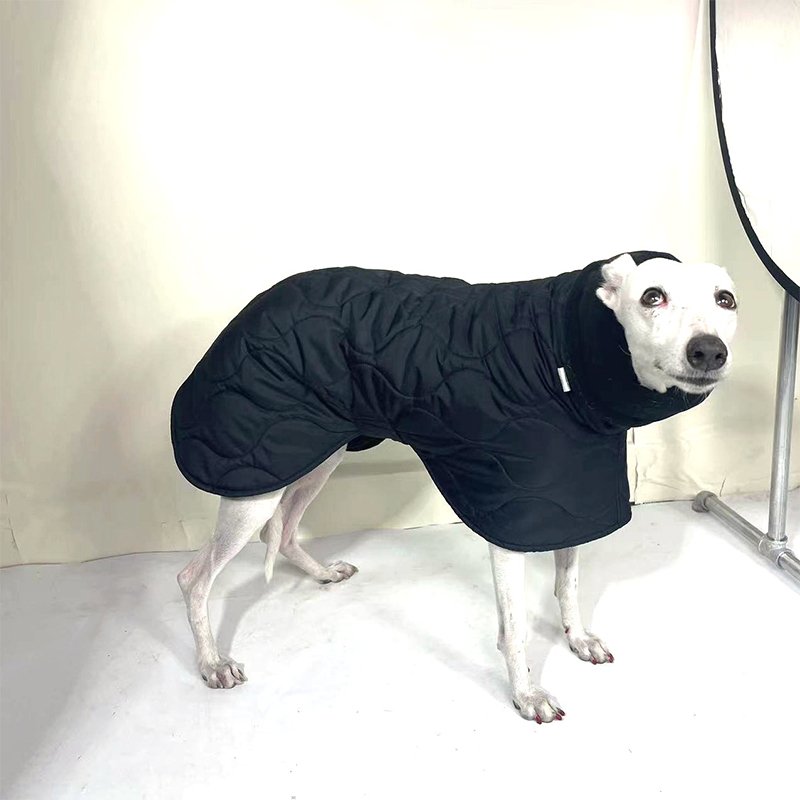 Dog Clothes Padded Coat Italian Greyhound Whippet - PIKAPIKA