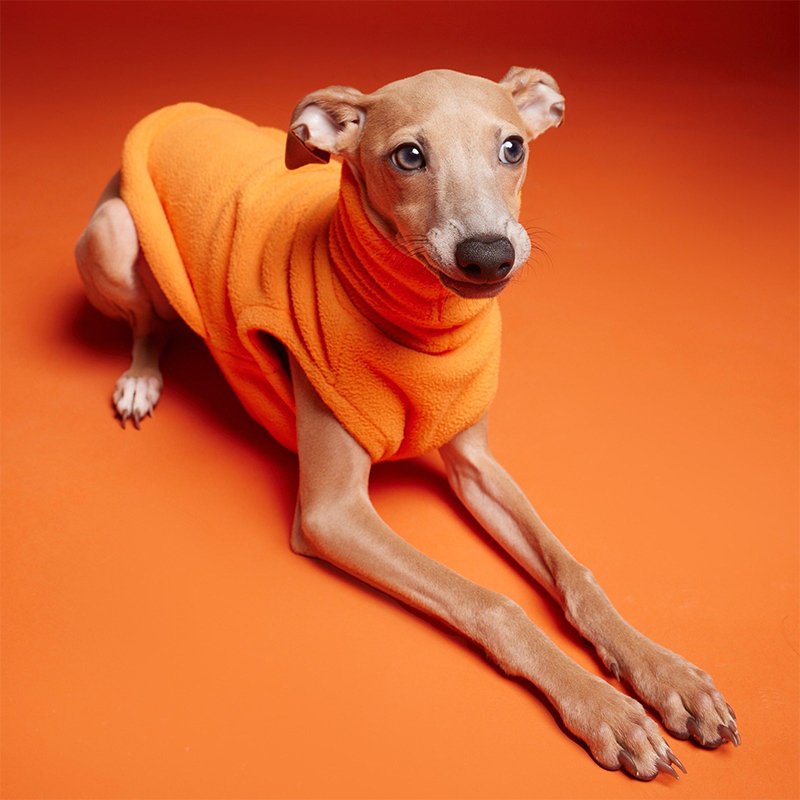 Dog Clothes Polar Fleece Turtleneck Shirts for Italian Greyhound Whippet - PIKAPIKA