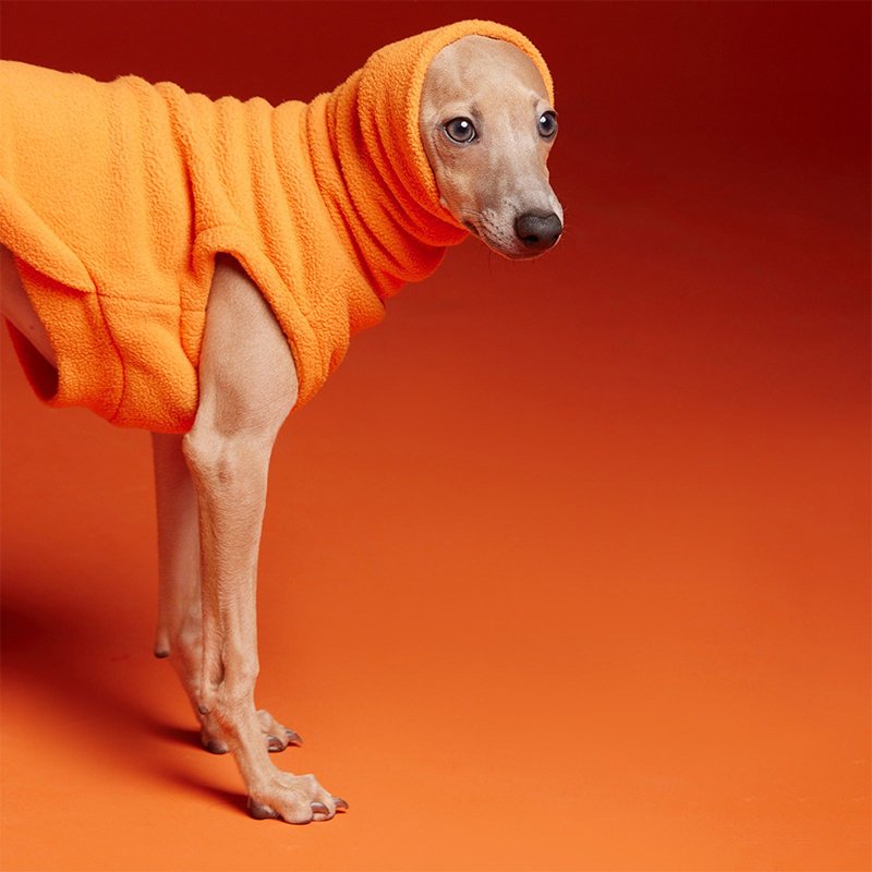 Dog Clothes Polar Fleece Turtleneck Shirts for Italian Greyhound Whippet - PIKAPIKA