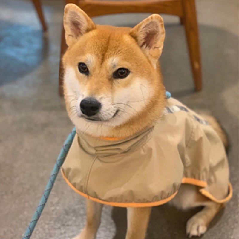 Dog Clothes Raincoat Waterproof Outdoor Jacket - PIKAPIKA