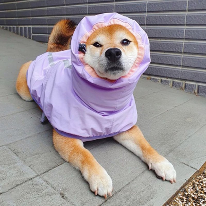 Dog Clothes Raincoat Waterproof Outdoor Jacket - PIKAPIKA