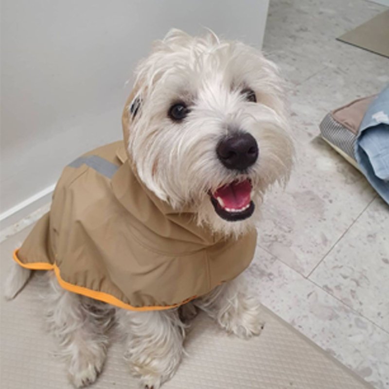 Dog Clothes Raincoat Waterproof Outdoor Jacket - PIKAPIKA