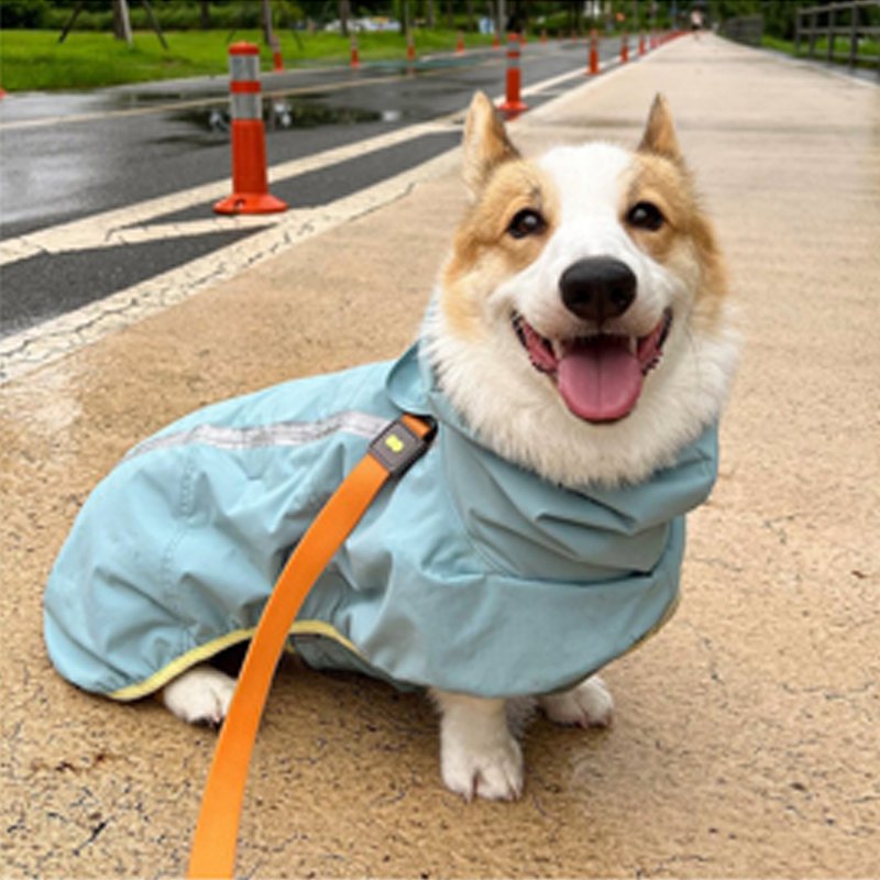 Dog Clothes Raincoat Waterproof Outdoor Jacket - PIKAPIKA