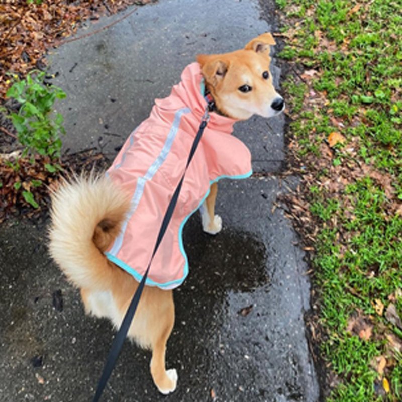 Dog Clothes Raincoat Waterproof Outdoor Jacket - PIKAPIKA