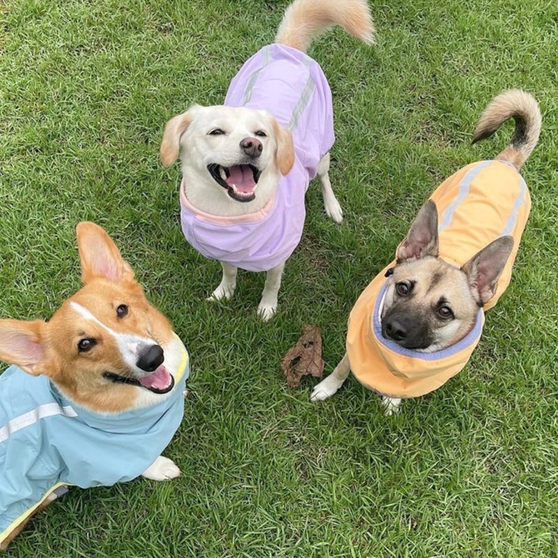 Dog Clothes Raincoat Waterproof Outdoor Jacket - PIKAPIKA