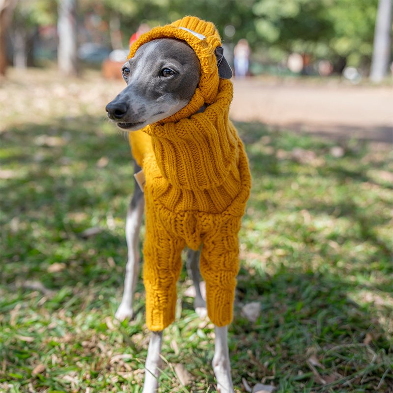 Dog Clothes Turtleneck Sweater Italian Greyhound Whippet - PIKAPIKA