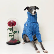 Dog Clothes Turtleneck Sweater Italian Greyhound Whippet - PIKAPIKA