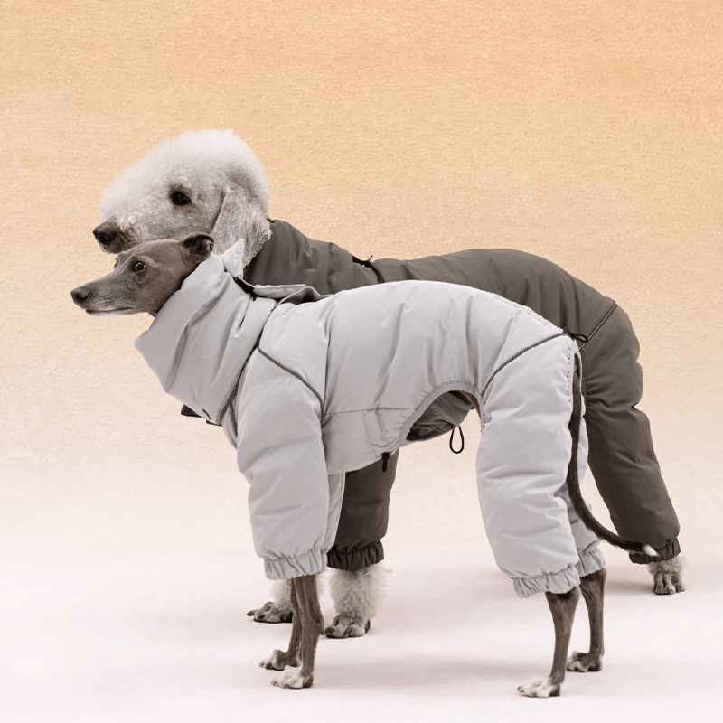 Dog Coat Down Padded Jacket 4Legs Snowsuits for Italian Greyhound Whippet - PIKAPIKA