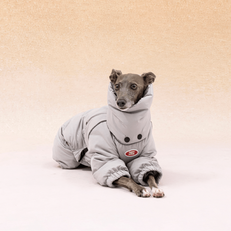 Dog Coat Down Padded Jacket 4Legs Snowsuits for Italian Greyhound Whippet - PIKAPIKA