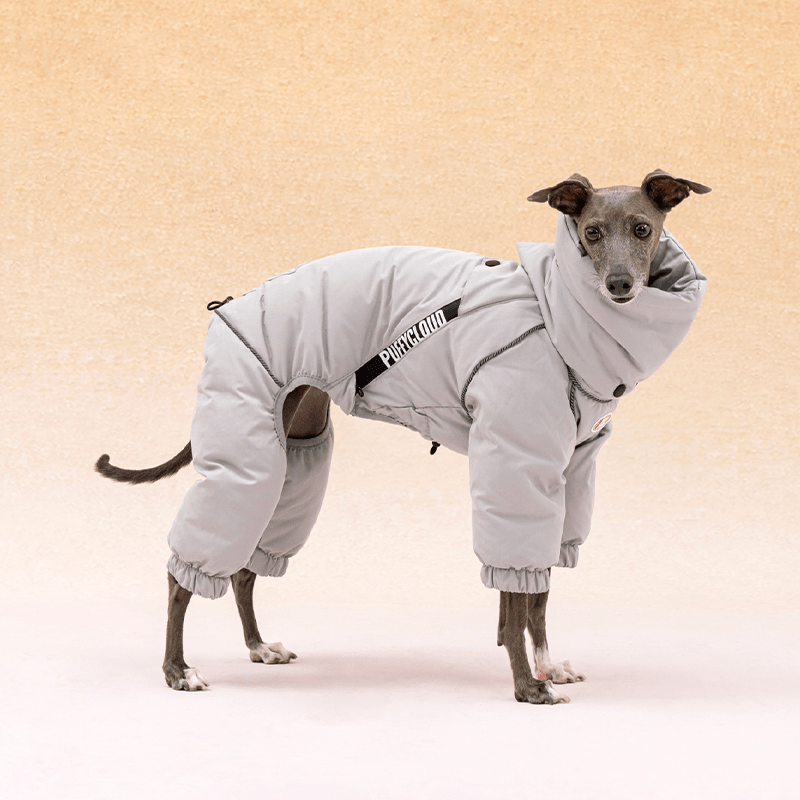 Dog Coat Down Padded Jacket 4Legs Snowsuits for Italian Greyhound Whippet - PIKAPIKA