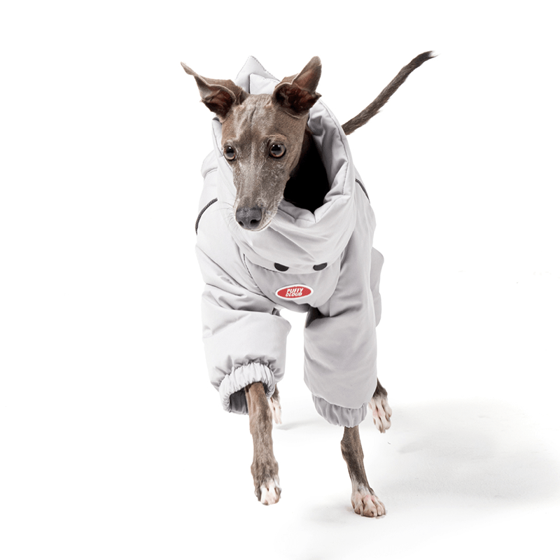 Dog Coat Down Padded Jacket 4Legs Snowsuits for Italian Greyhound Whippet - PIKAPIKA