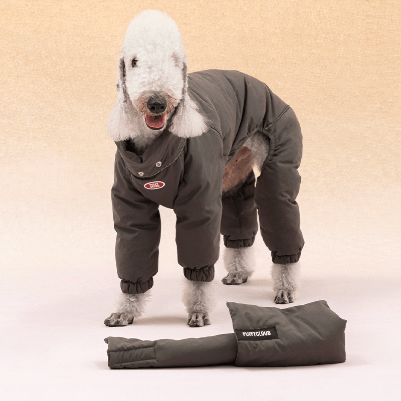 Dog Coat Down Padded Jacket 4Legs Snowsuits for Italian Greyhound Whippet - PIKAPIKA