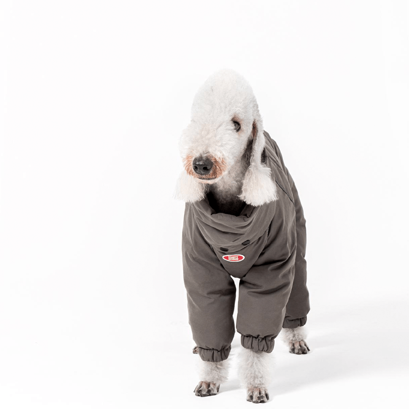 Dog Coat Down Padded Jacket 4Legs Snowsuits for Italian Greyhound Whippet - PIKAPIKA