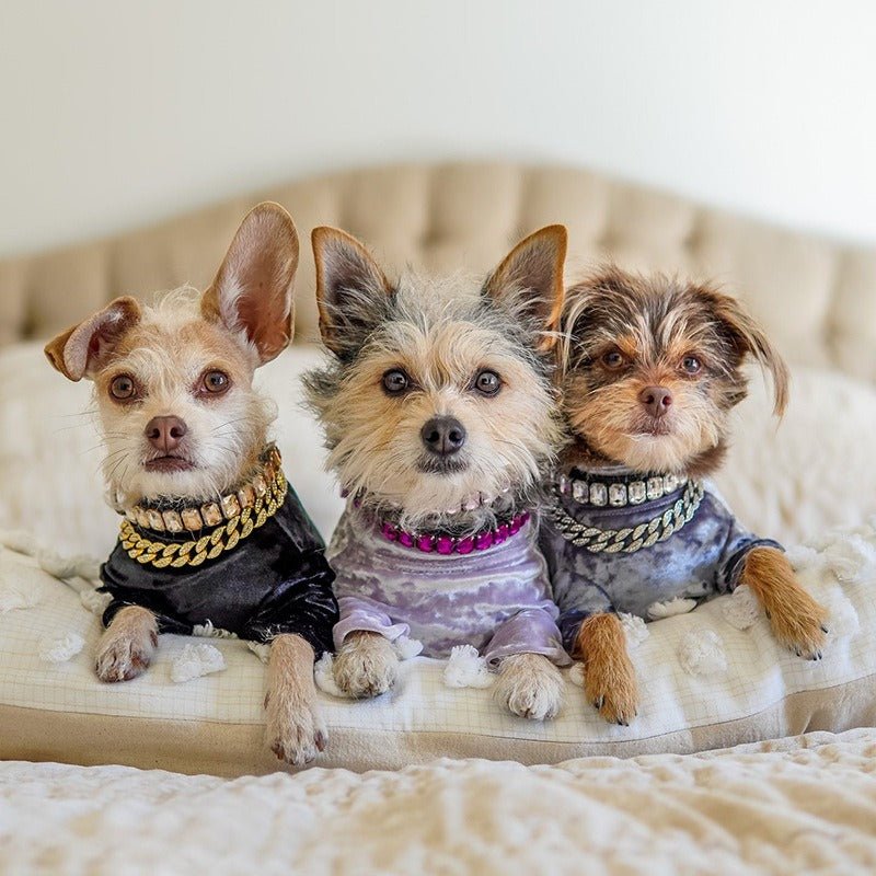 Dog Collar Rhinestone Necklace PU Leather Shiny Faux Diamond - PIKAPIKA