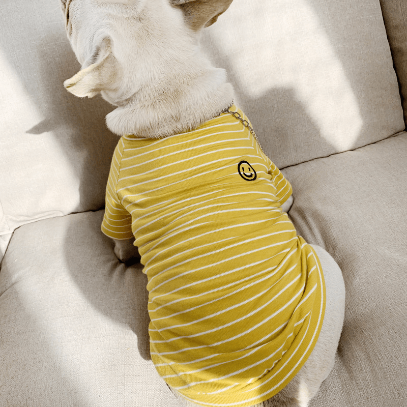 Dog Cotton Striped T-shirt for Adults and Pets Matching Outfit - PIKAPIKA