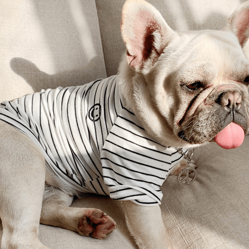 Dog Cotton Striped T-shirt for Adults and Pets Matching Outfit - PIKAPIKA