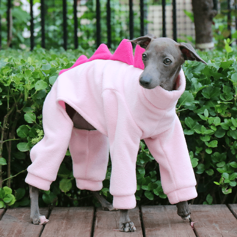 Dog Fleece Onesies Dinosaur Suits Italian Greyhound Whippet Clothes - PIKAPIKA